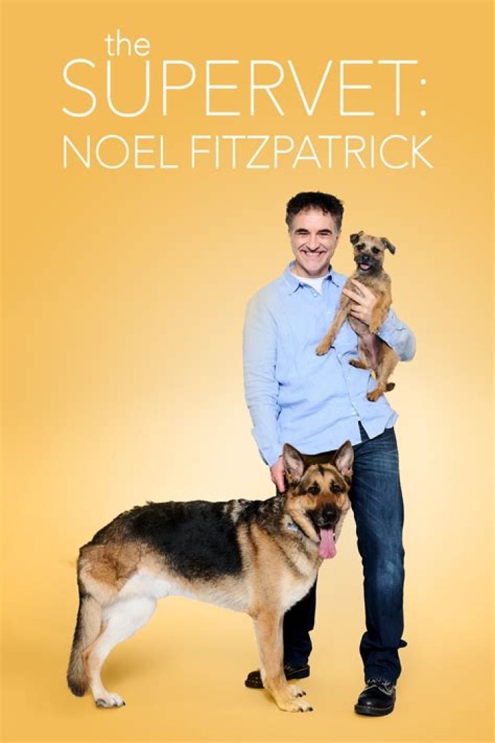 Who Is Noel Fitzpatrick Partner Michaela Noonan? All About The Surgeon From ‘The Supervet’